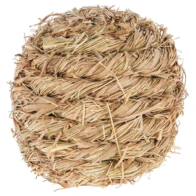 Kerbl Pet Grass Ball