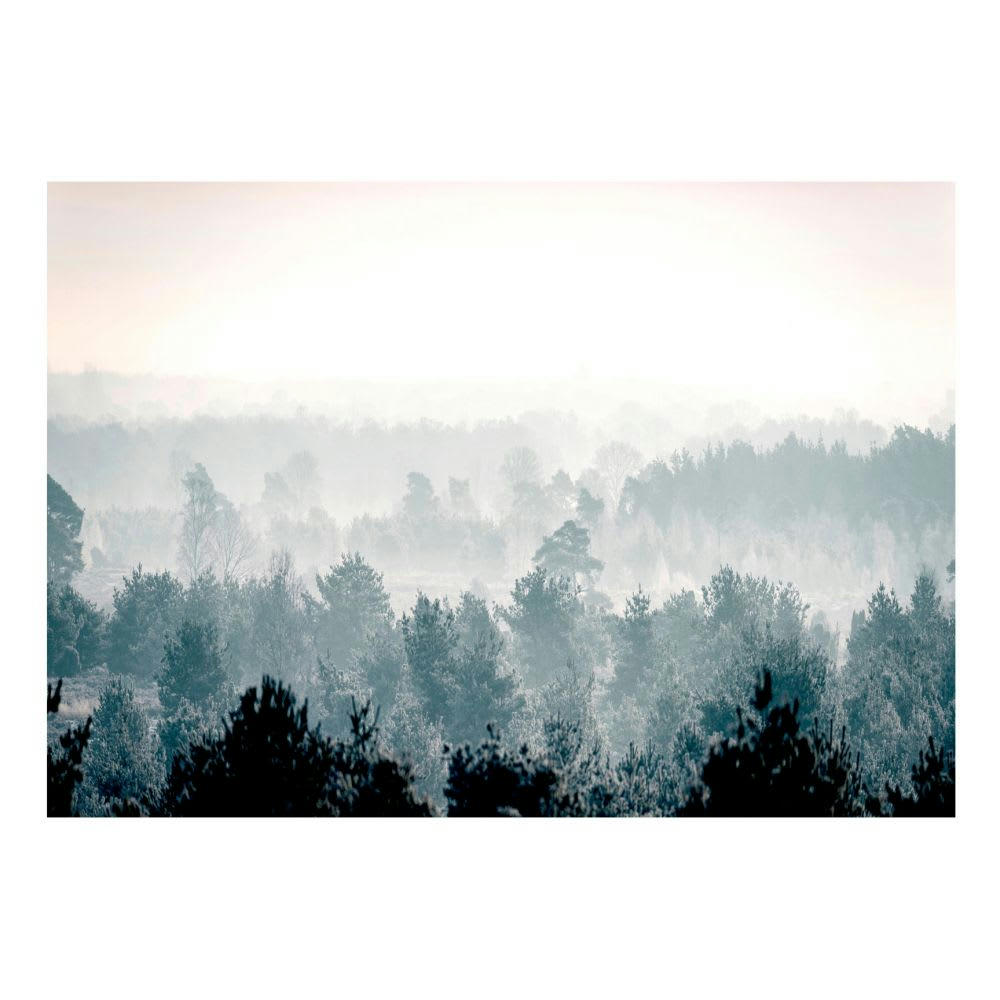 - Papier peint panoramique paysages winter forest 200x140 cm