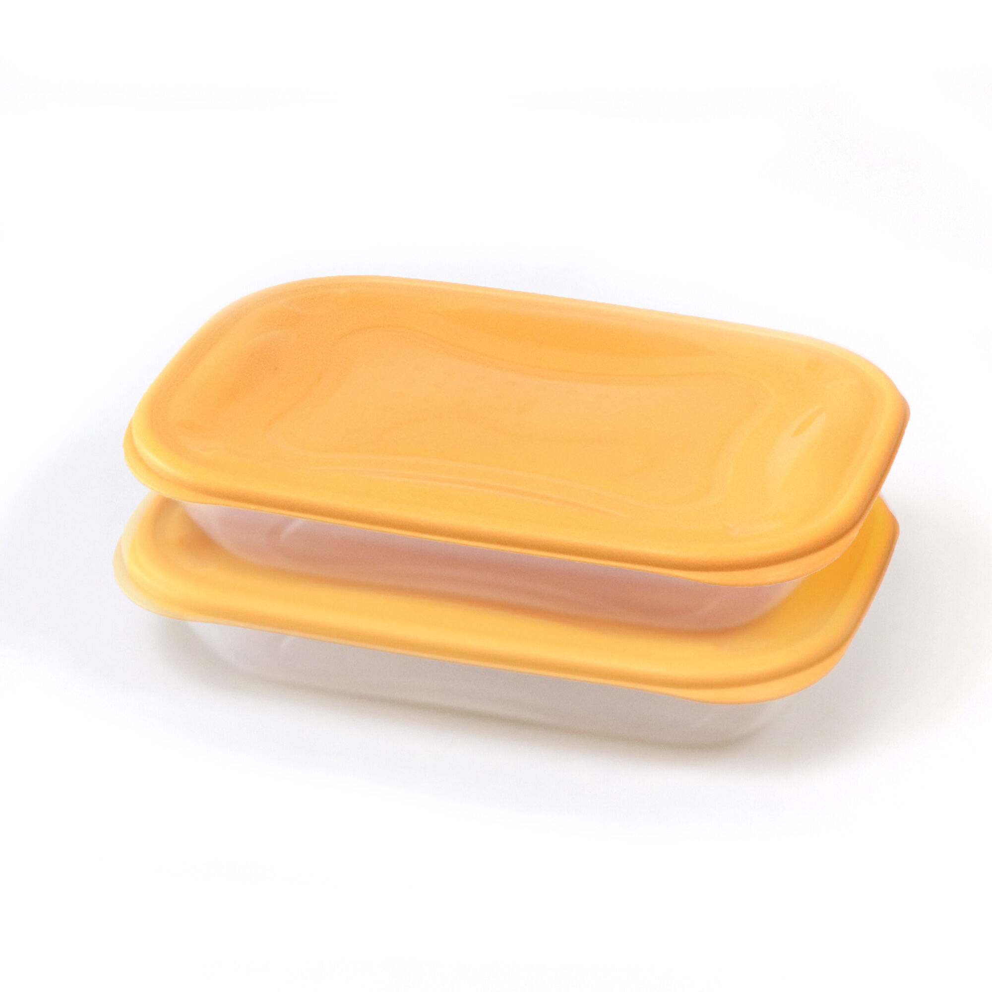 Conjunto de 2 caixas PRACTIFRESH 1,4l