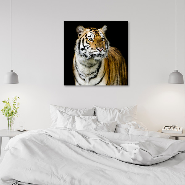 Feeby Obraz na płótnie, Majestatyczny tygrys 30x30