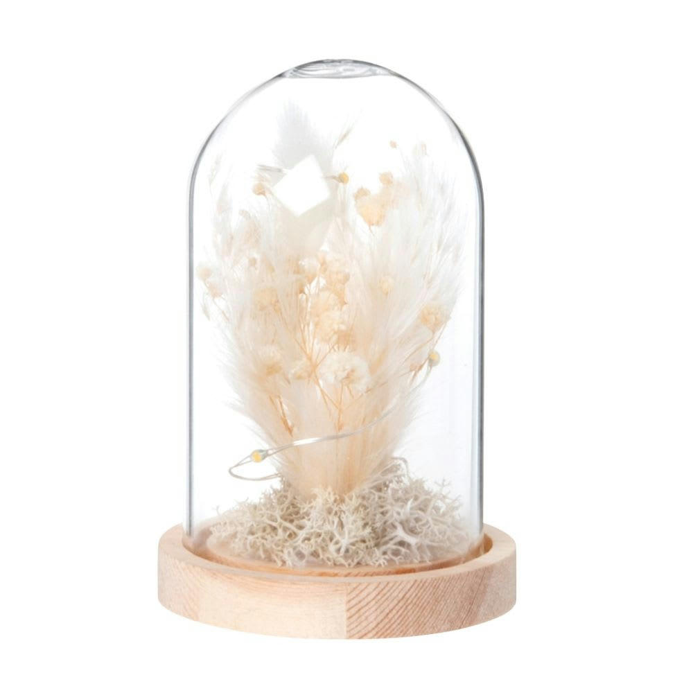- Déco lumineuse en verre et fleurs séchées