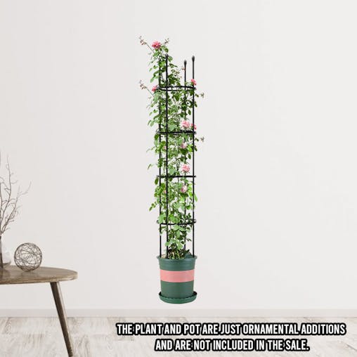 SOGA 163cm 4-Bar Plant Frame Stand Trellis Vegetable Flower Herbs Outdoor Vine Support Garden Rack with Rings