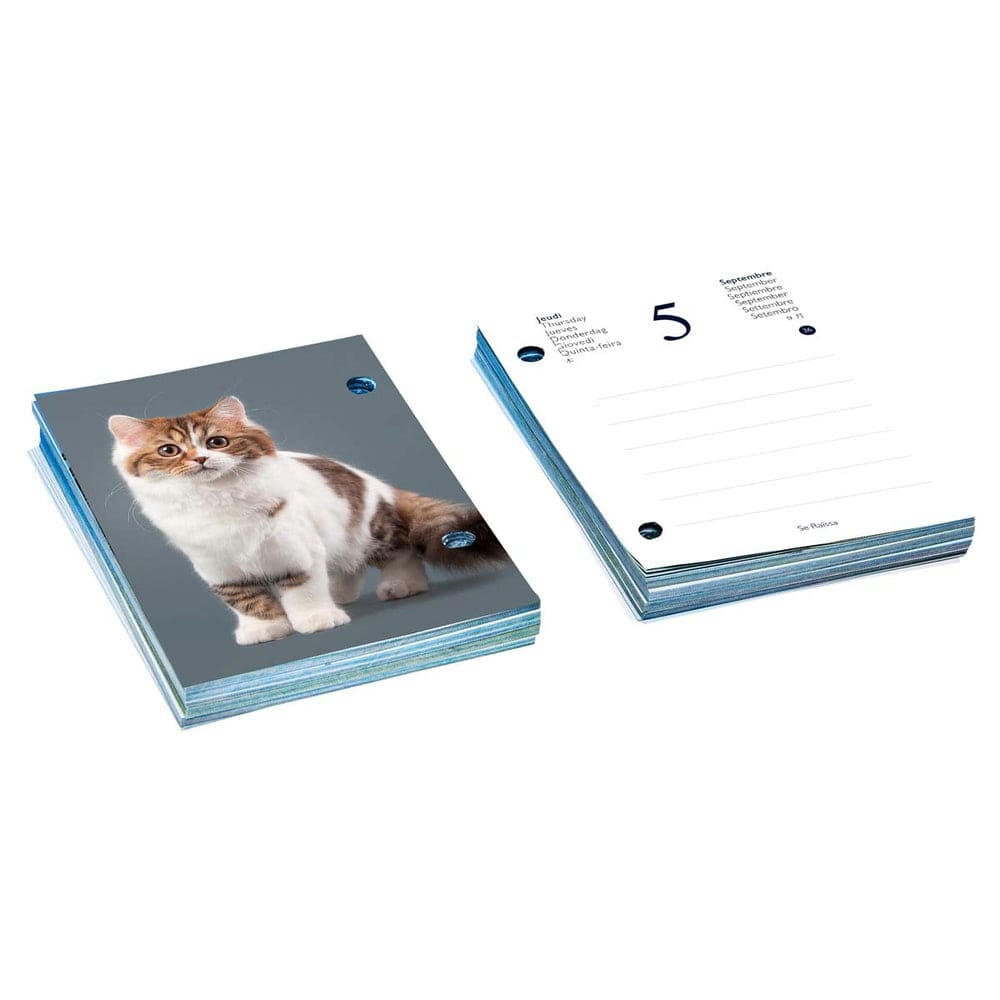 - Recharge éphéméride agenda Yvon 2024 - Chats