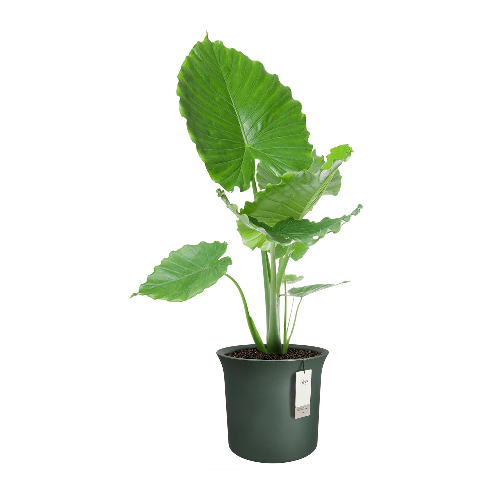 Elho June Tulip 40 - Groen - Ø 39 x H 36 cm - Binnen en Buiten - 100%