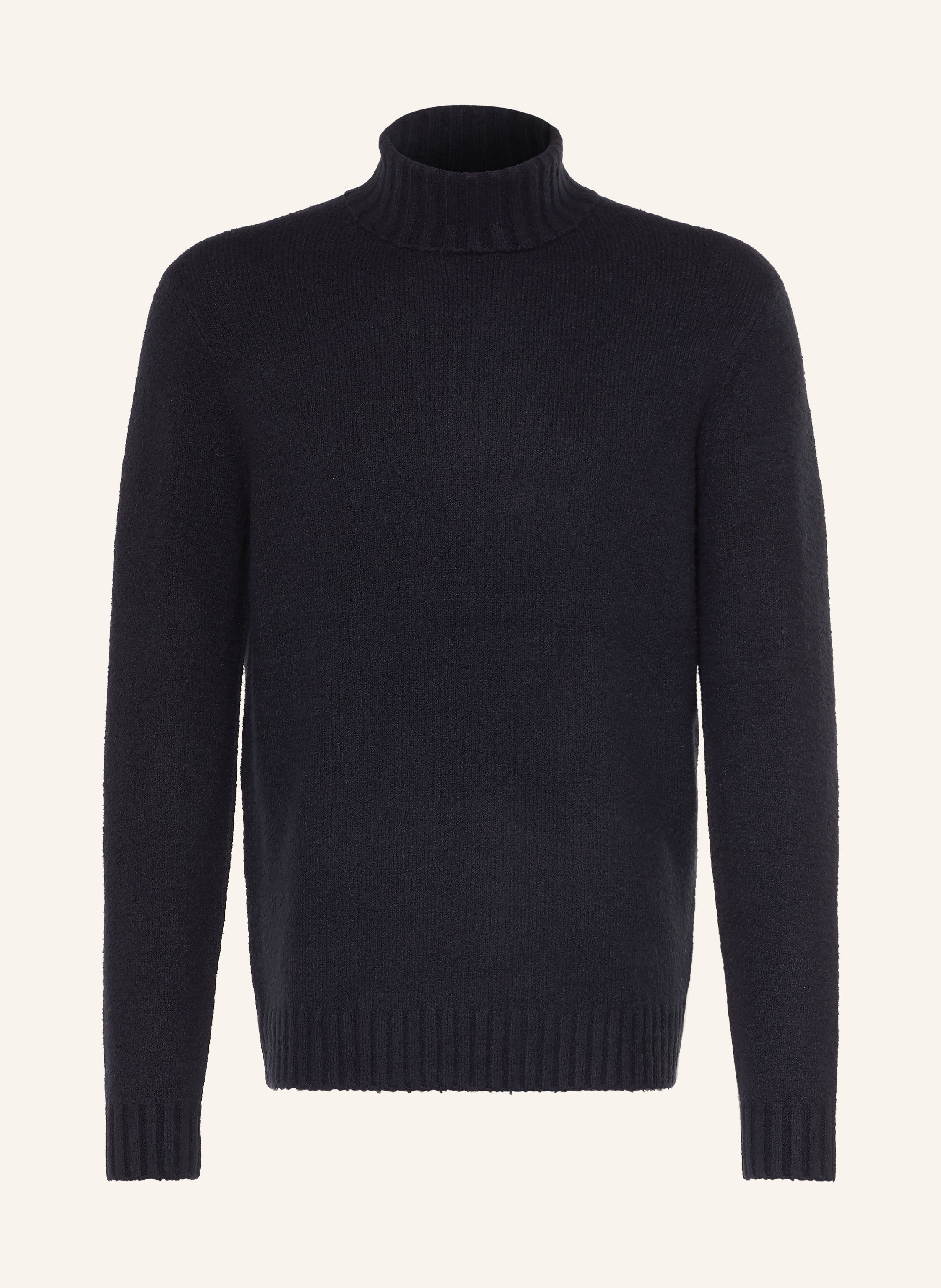 CINQUE Rollkragenpullover CIZINO