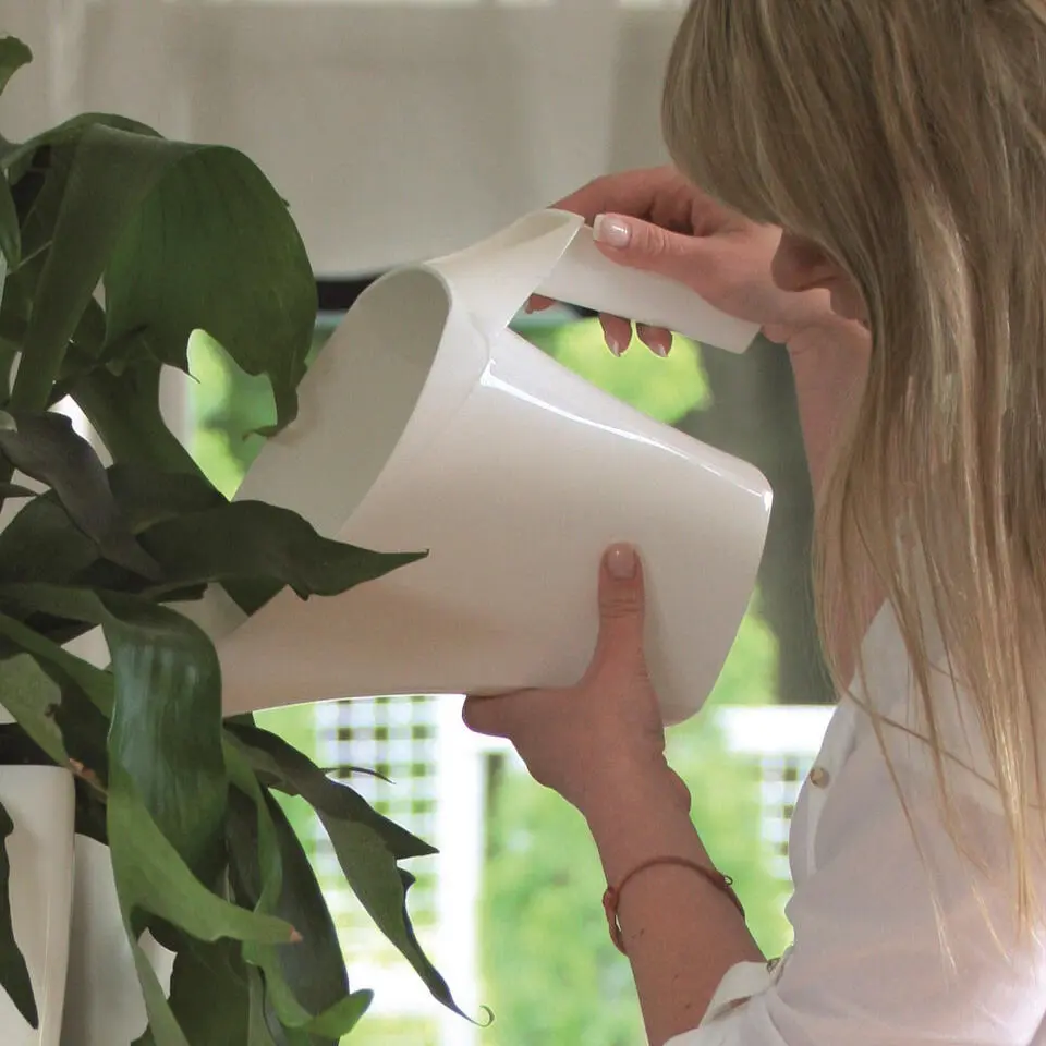 Prosperplast Gieter - antraciet - kunststof - 2 liter