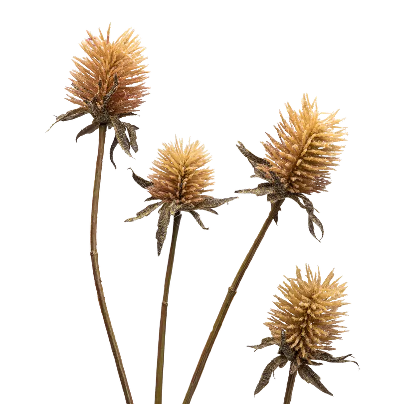 Dekozweig Dried-Grass