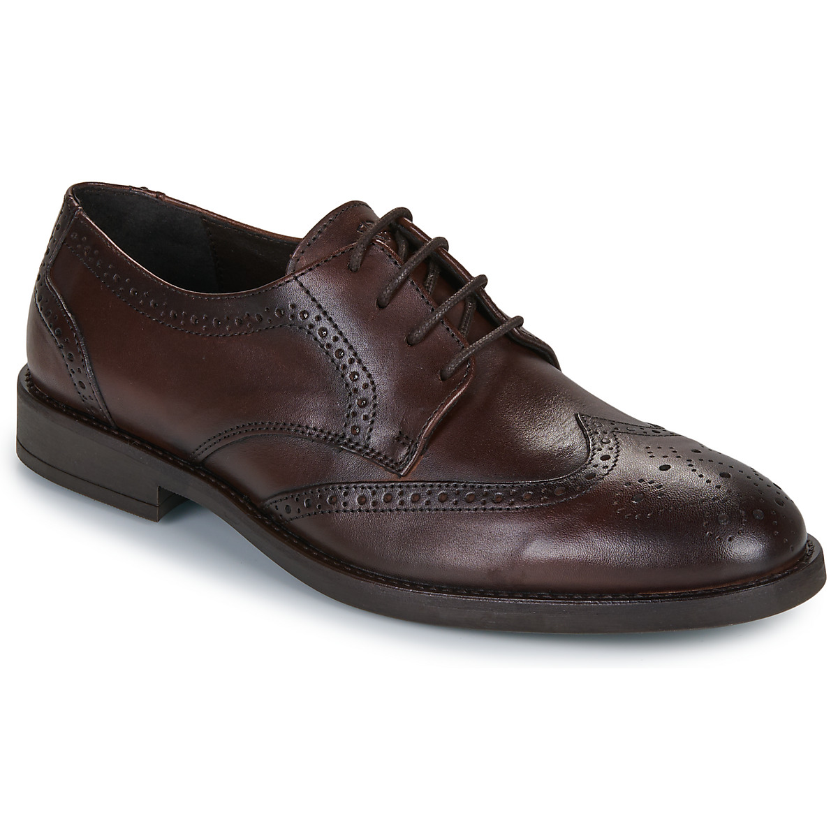 Carlington - LOUVIAN - Brown / Dark