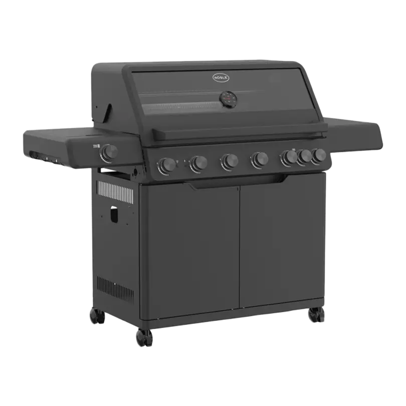 Gasgrill ALLFLAME Hero 6