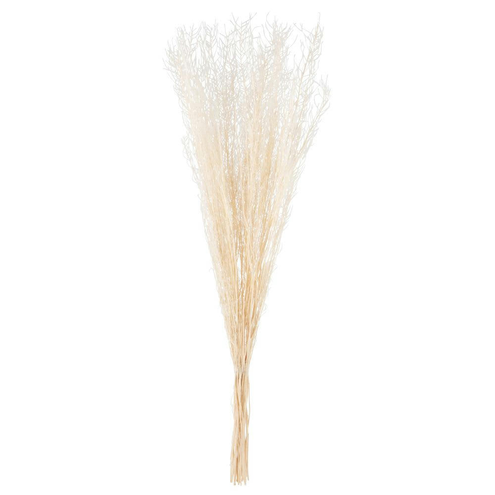 - Bouquet de fleurs séchées beiges