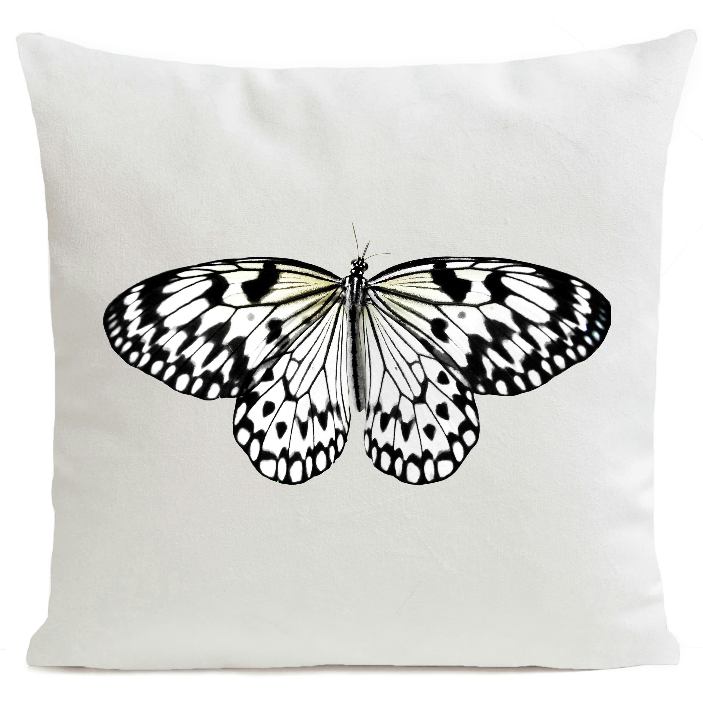 - Coussin papillon insecte suédine blanc 40x40cm