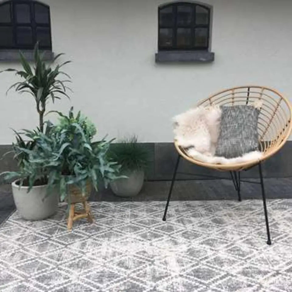 Eva Interior Buiten vloerkleed - Frost - Grijs/Wit- 200x290 cm