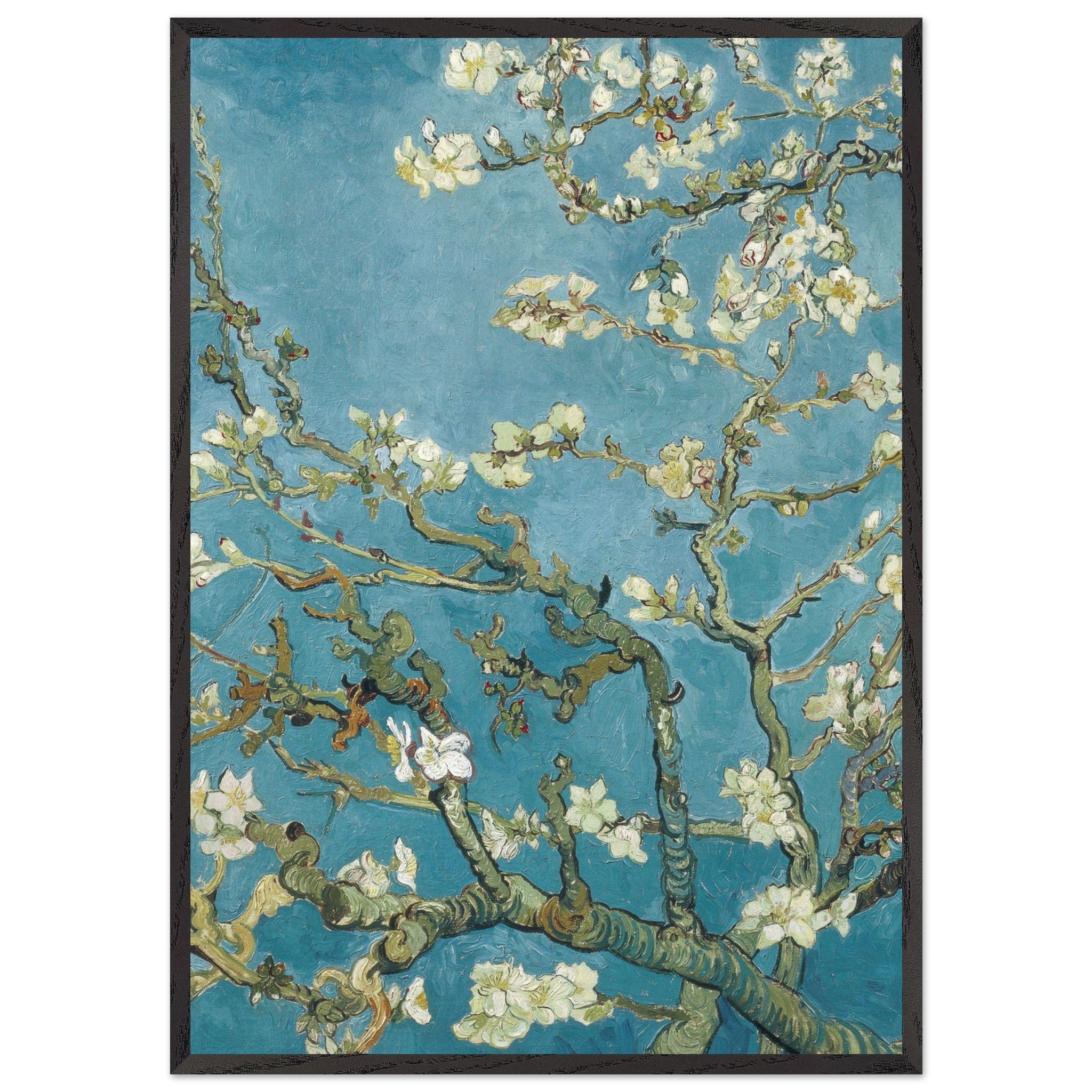 Artfulprints Poster met Lijst Vincent van Gogh - Amandelbloesem  - 70x100 cm - Blauw