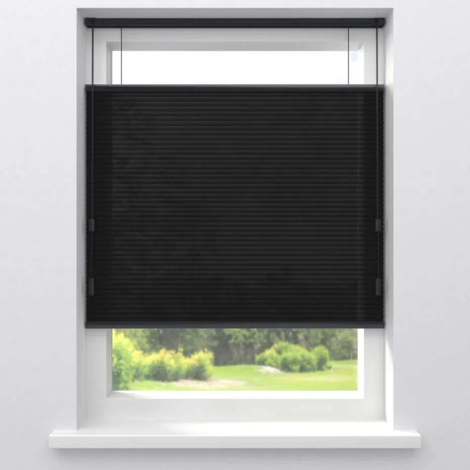 Kwantum Plisségordijnen | Fenstr Dubbel Plissé Dewi  Lichtdoorlatend Zwart