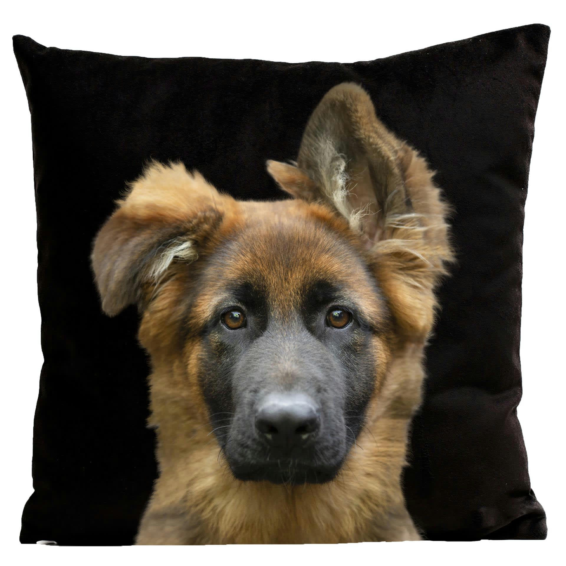 - Coussin chien berger allemand suédine noir 40x40cm