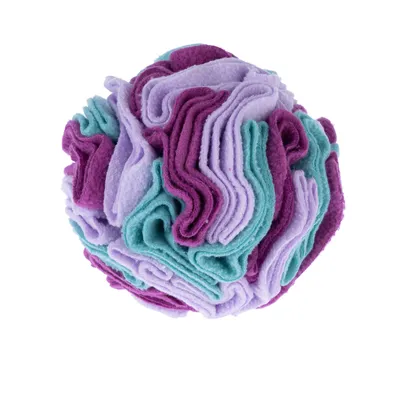 zooplus Basics Sniffer Ball Dog Toy