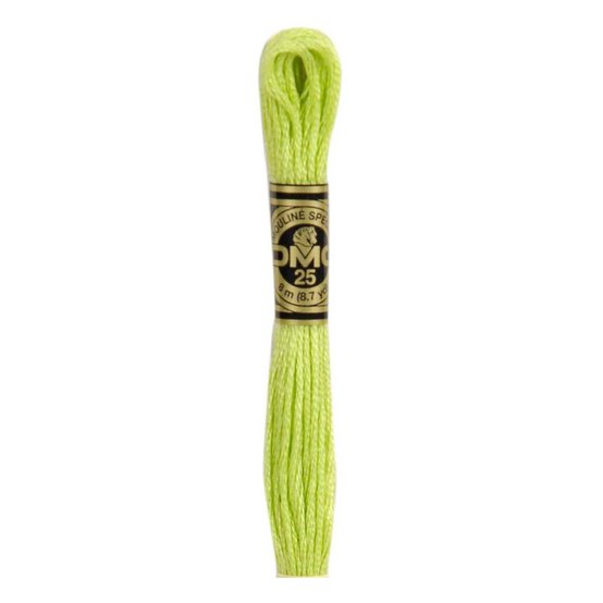 DMC Green Mouline Special 25 Cotton Thread 8m (016)