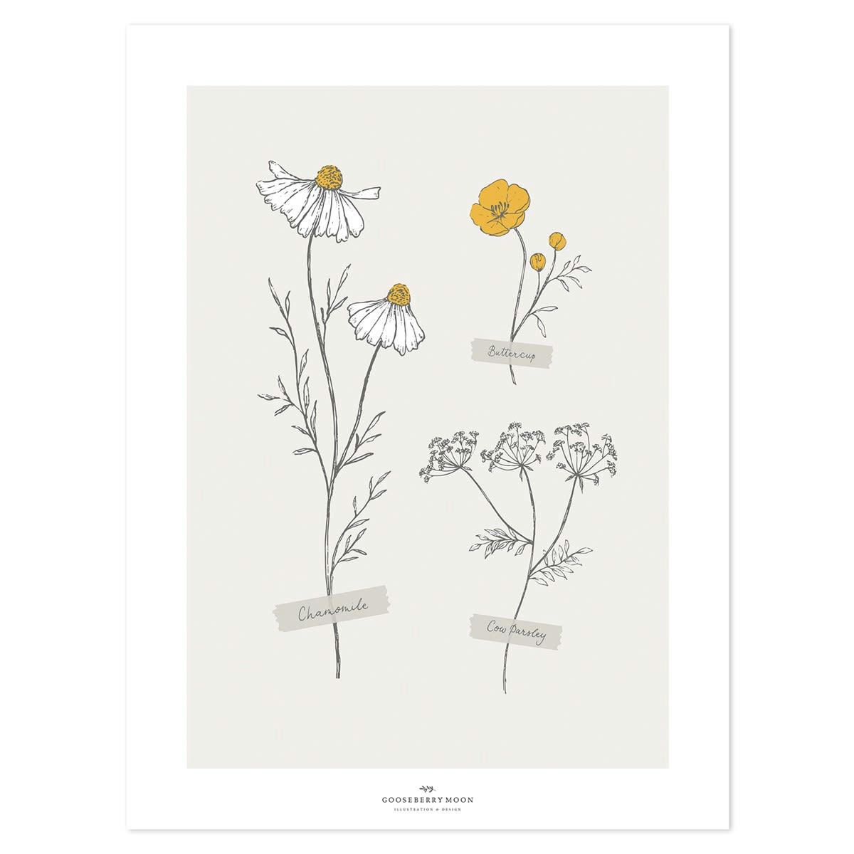 CHAMOMILLE - Affiche décorative gravure fleurs en papier beige 30 x40 cm