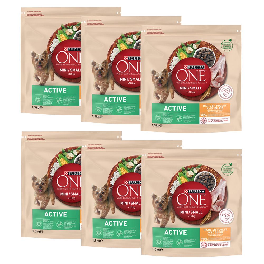 PURINA ONE Mini Active Chicken & Rice