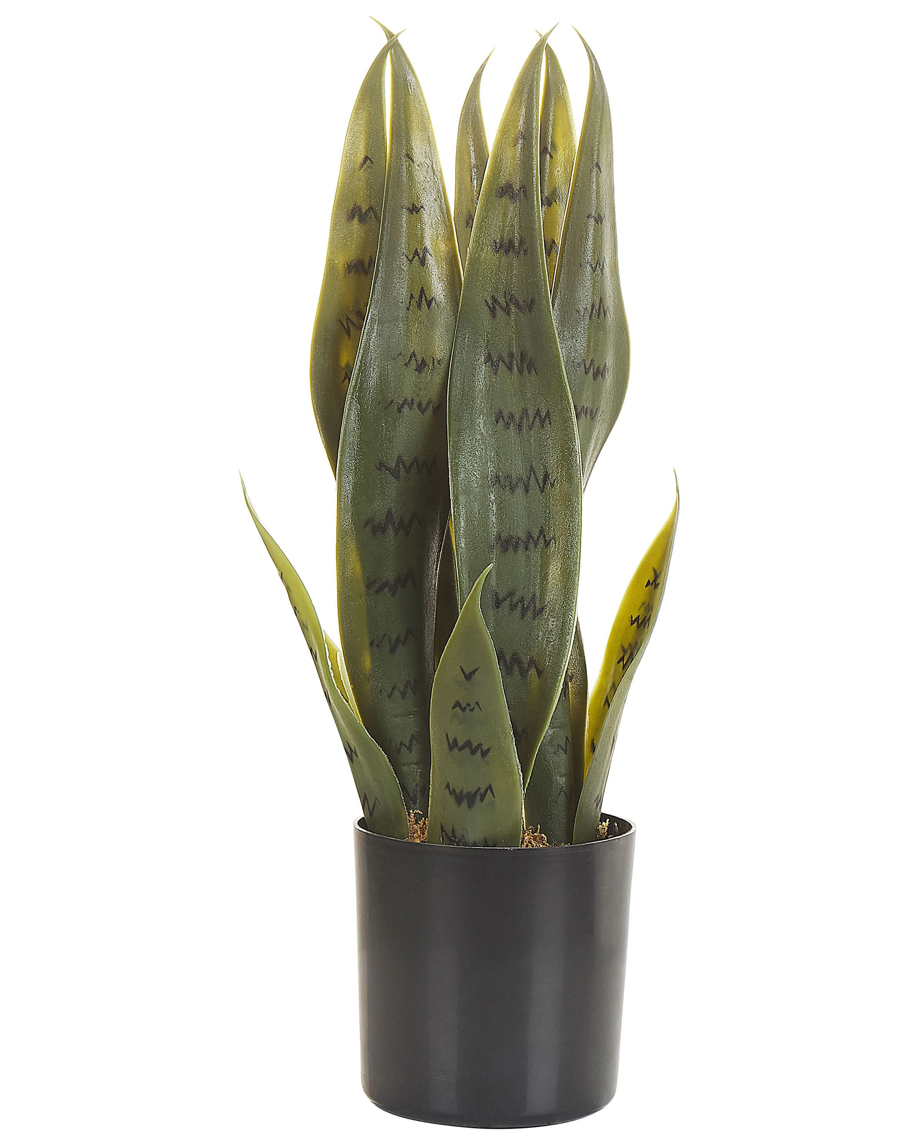 Artificial Plant SNAKE PLANT 40 cm Green