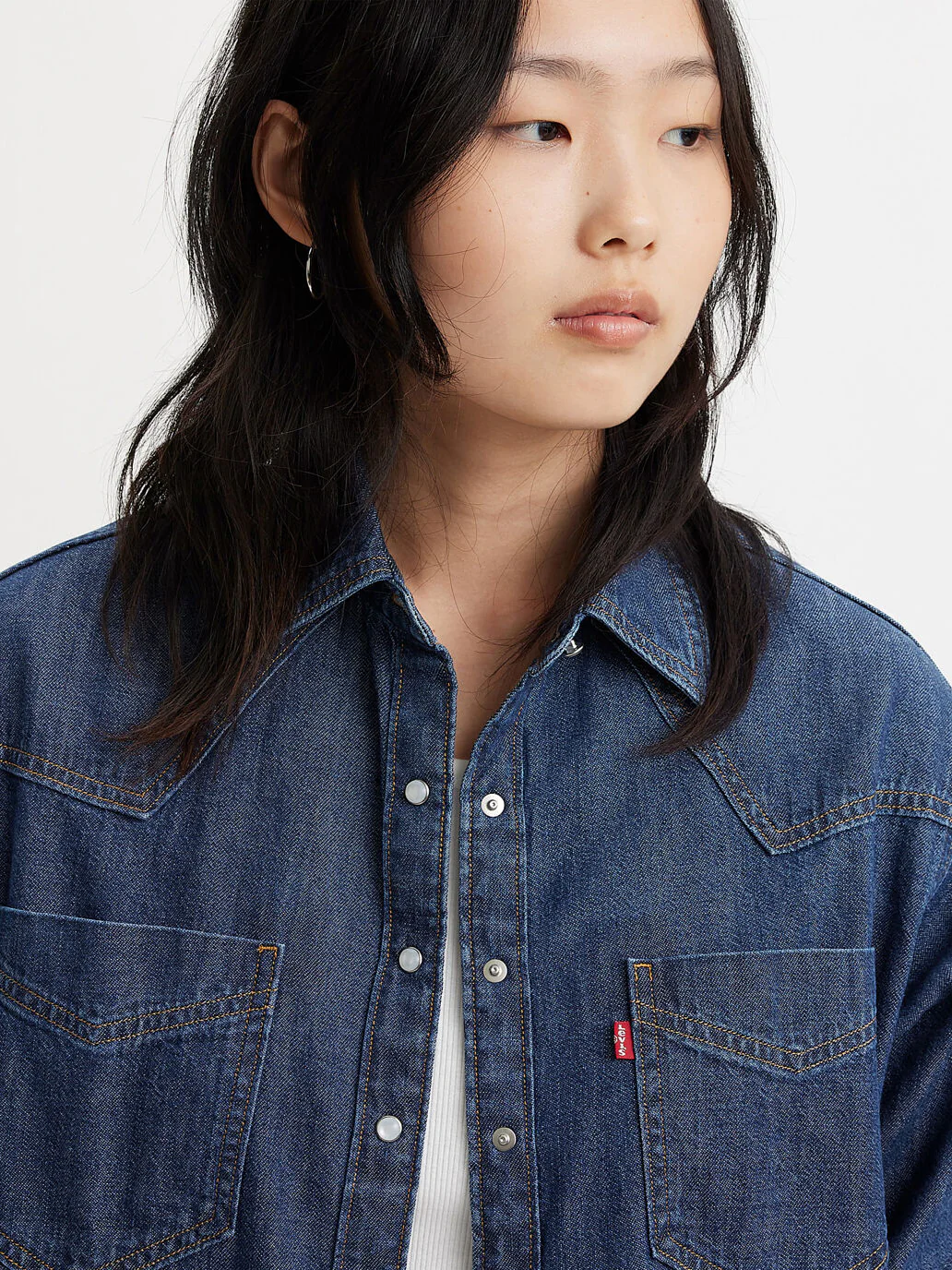 Donovan Western Shirt
