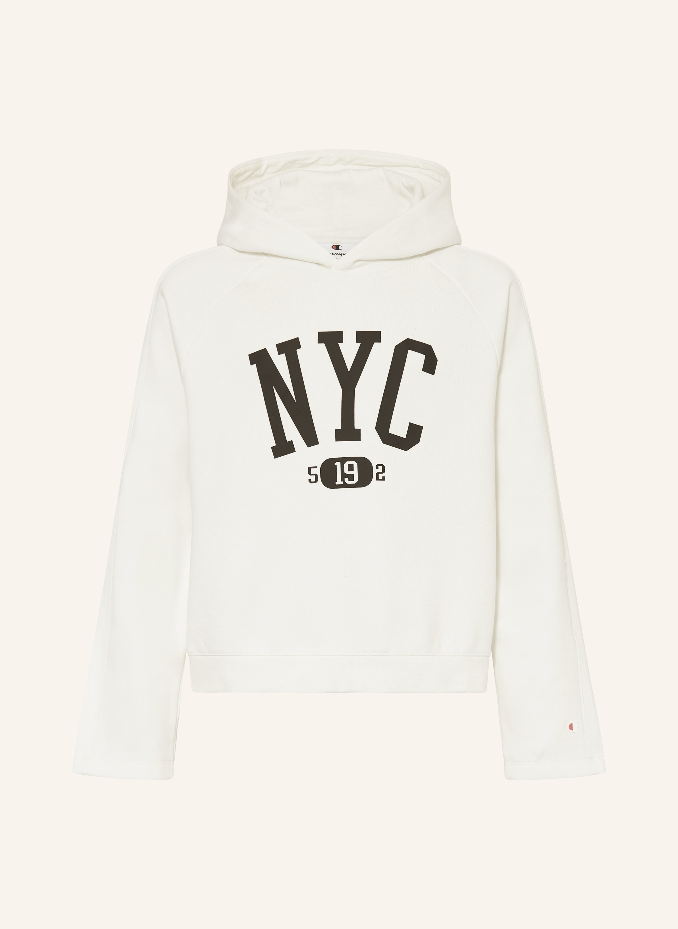 Champion Hoodie