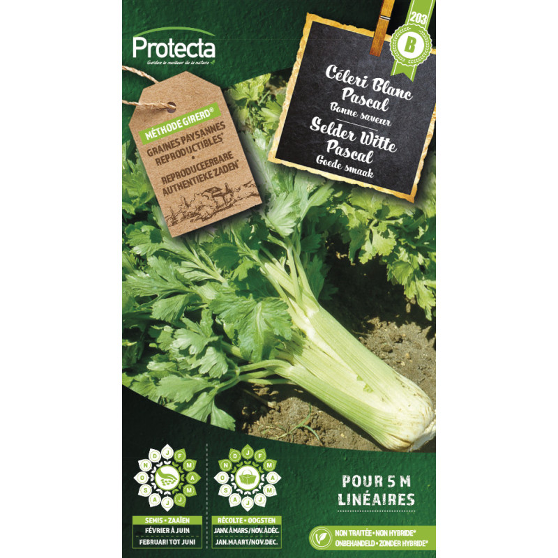 Semences de céleri Blanc Pascal PROTECTA