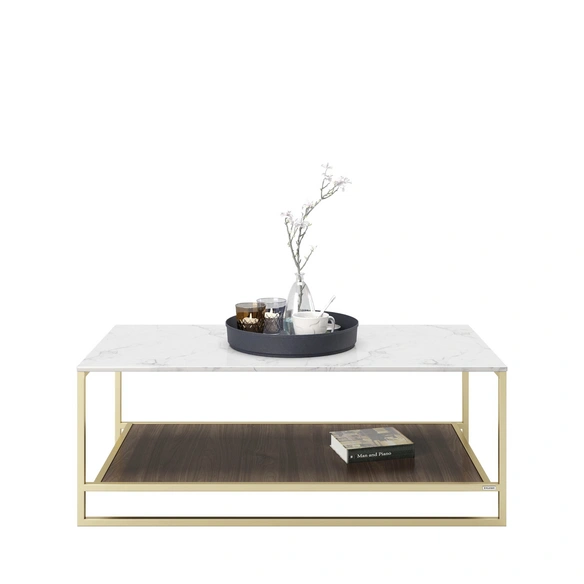 Couchtisch »OLIVIA«, BxH: 120 x 45 cm, MDF/Spanplatte
