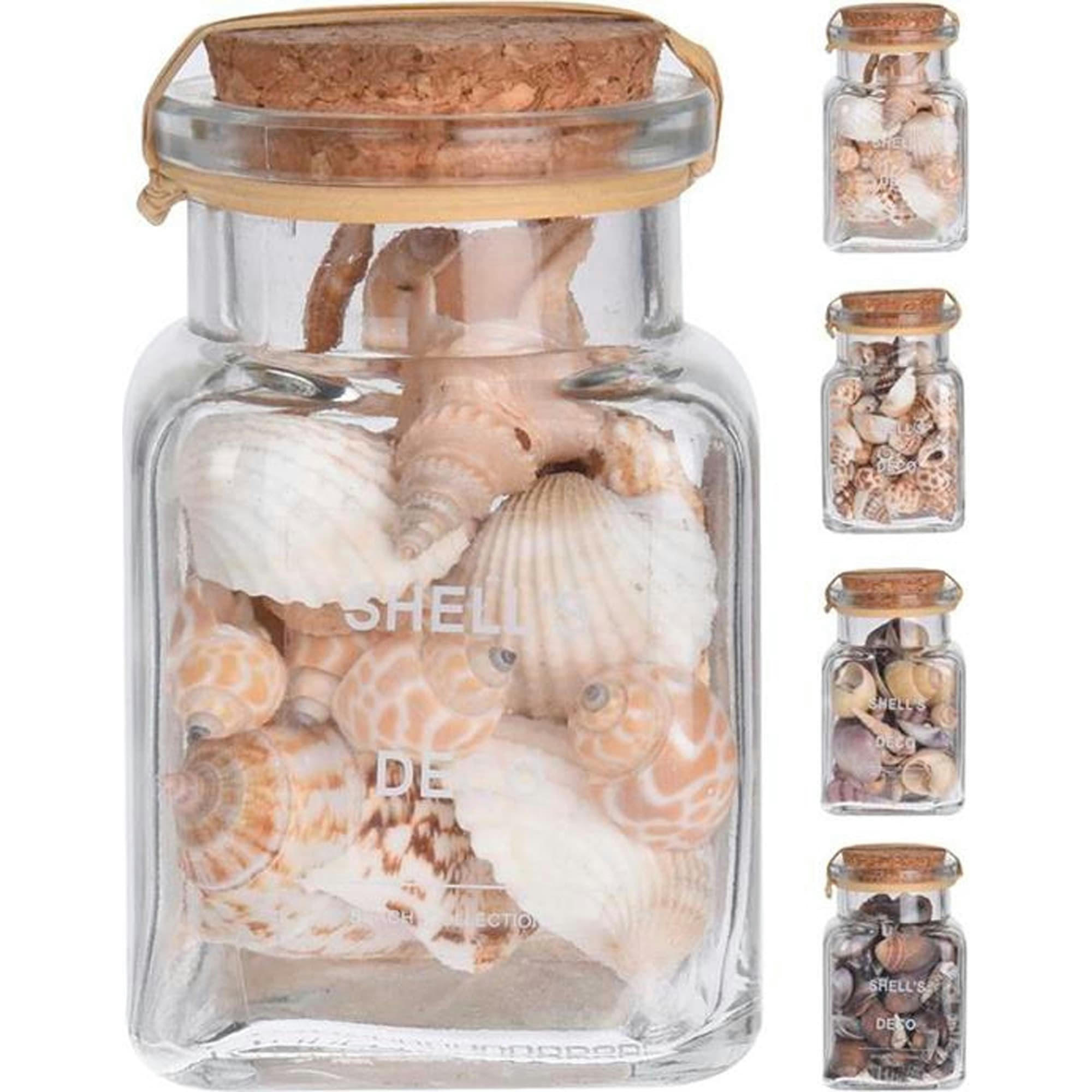 - Coquillages décoratifs set de 4 pots en verre