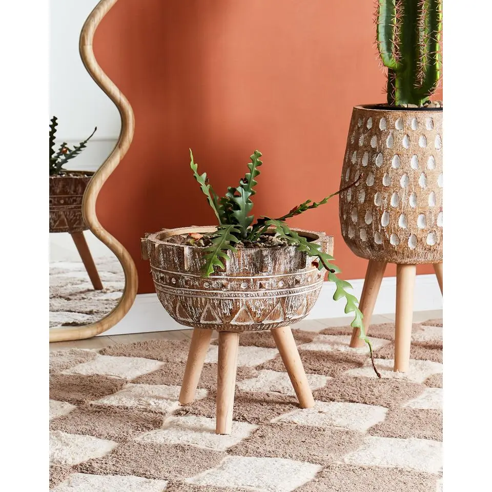 ASPLENIUM - Bloempot - Lichtbruin - Magnesium