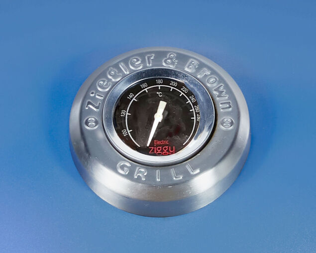 Ziggy Single Burner Electric Grill BBQ Plus Stand Bundle