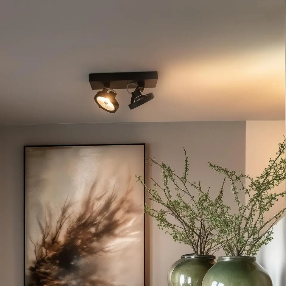 Qazqa verstelbare plafondspot go zwart g9