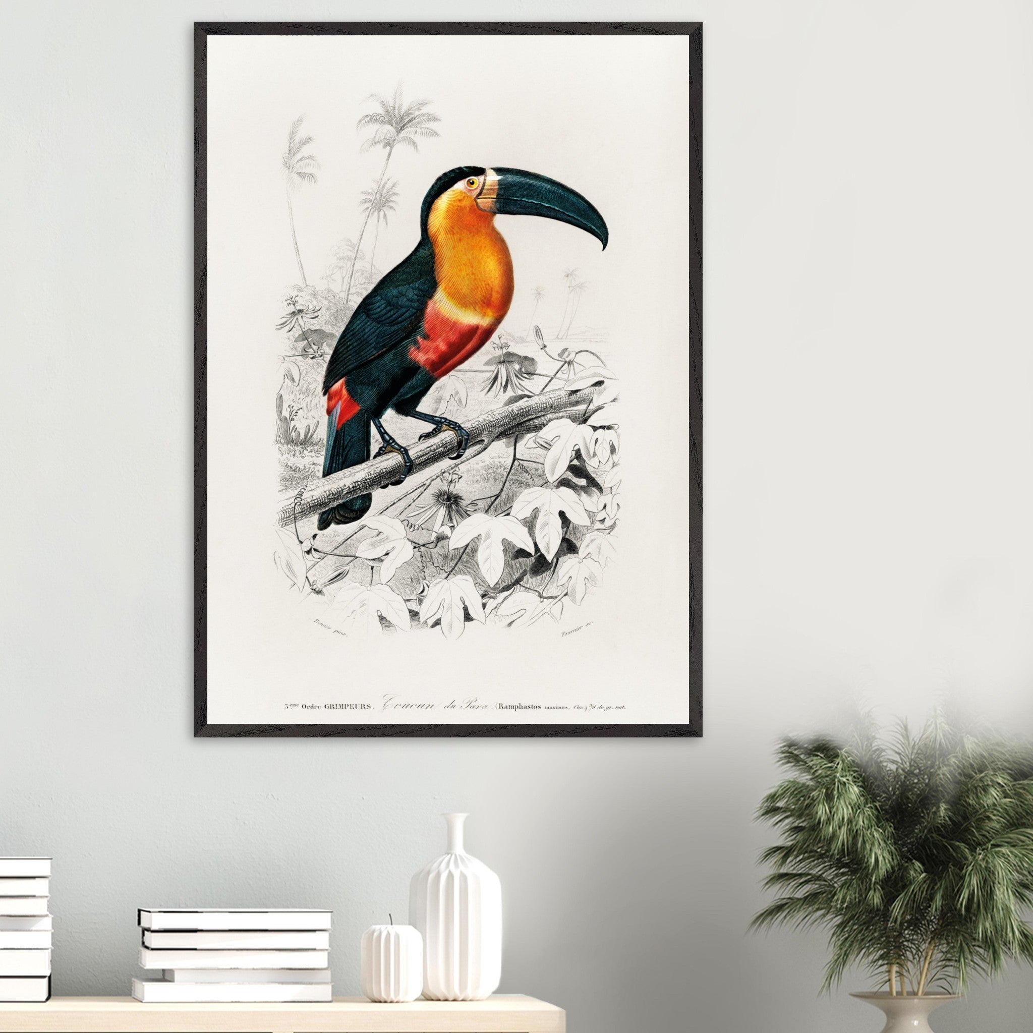 Artfulprints Poster Charles Dessalines d'Orbigny - Toucan (ramphastos)  - 70x100 cm - Oranje