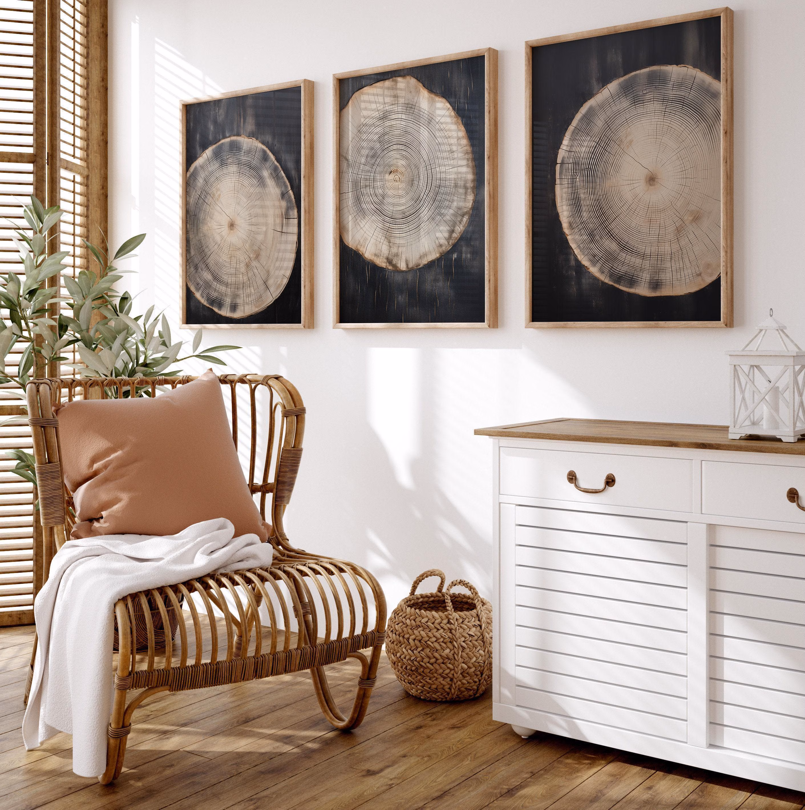 Framed Rustic Tree Ring Canvas Art: Modern Wood Wall Decor, Set of 3