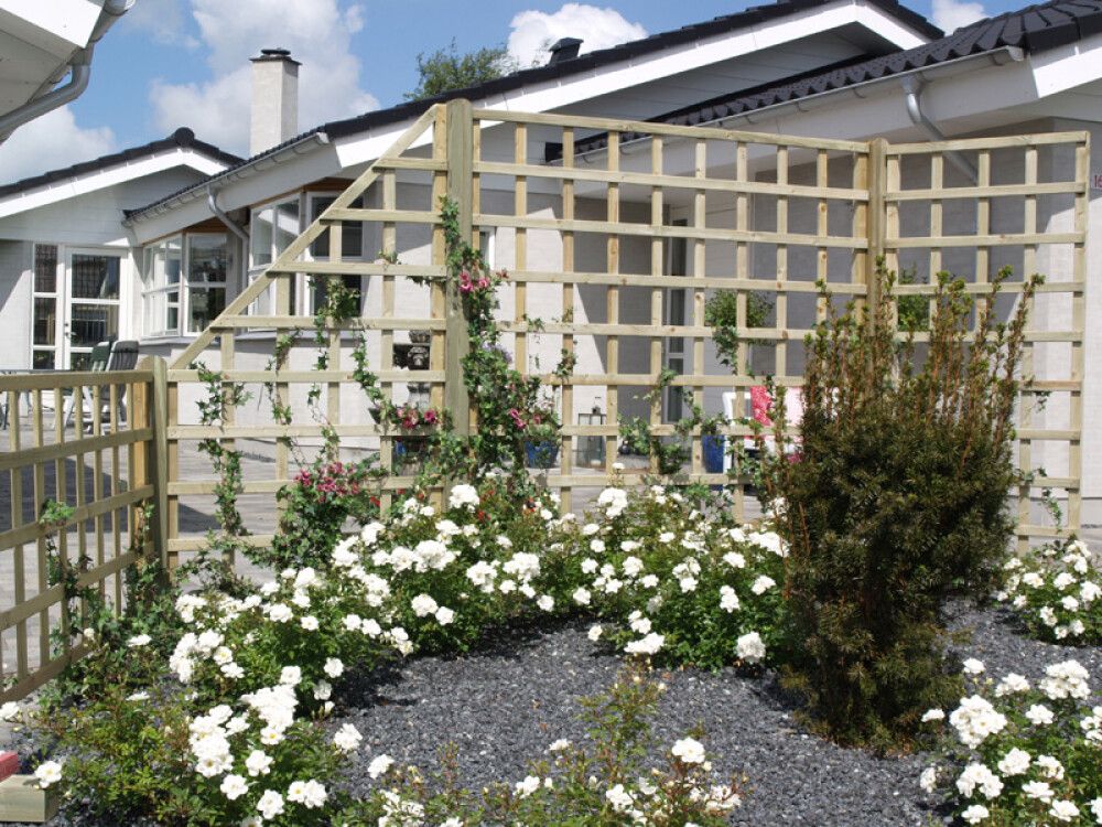 LEVEGG / ESPALIER PLUS FUJI TRYKKIMPREGNERT 180X83CM