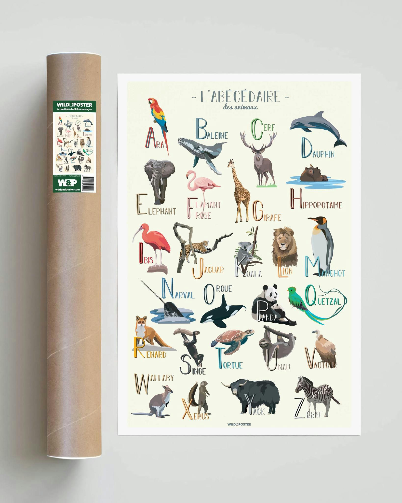 ANIMAUX - Affiche animaux - Abécédaire des animaux  40 x 60 cm