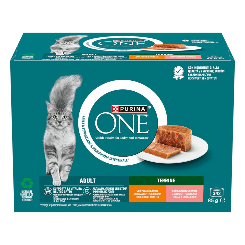 PURINA ONE Adult Terrine