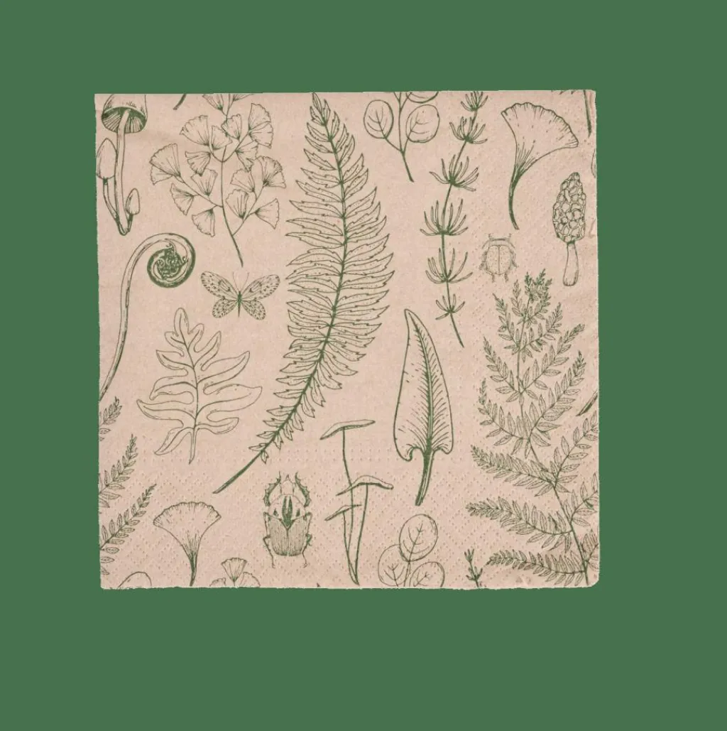 Serviettes^CASA ECO NATURE Set De 20 Serviettes Multicolore