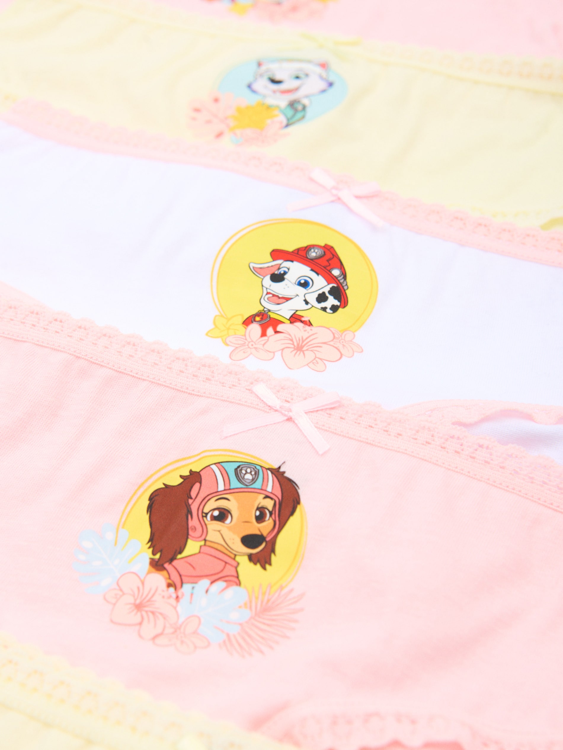Majtki 5 pack PAW Patrol