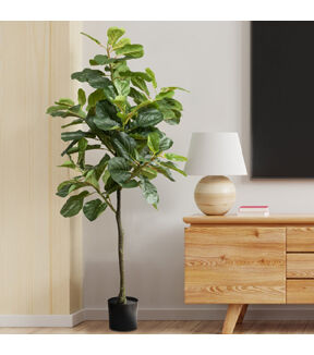 Forever Leaf 60 Artificial Fiddle Leaf Fig Tree With Black Pot 2pk
