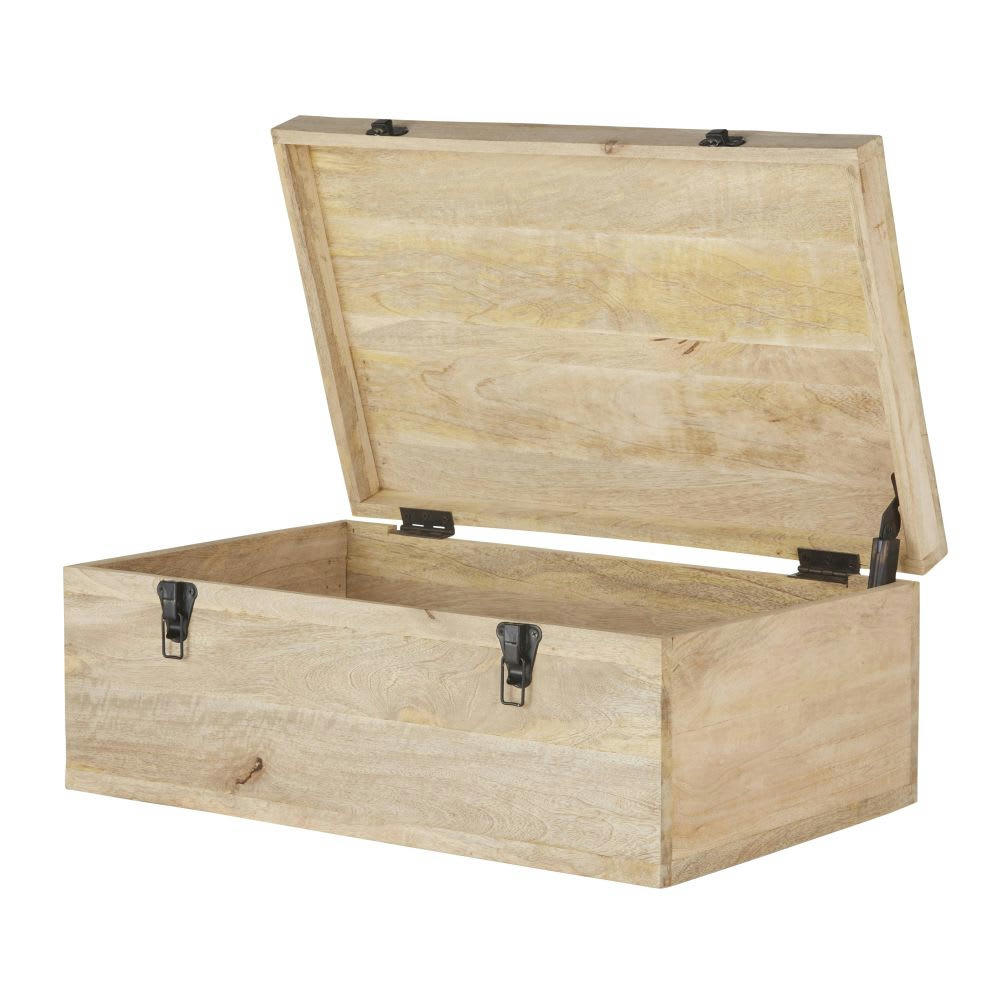 DARIO - Malle en bois de manguier marron et métal doré