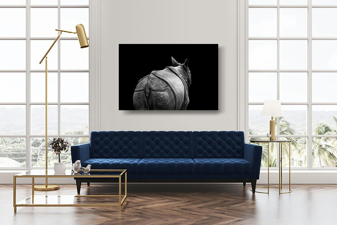 DÉPART DU JEUNE RHINOCÉROS - Photographie d'art de Guillaume Mordacq  30x45 cm sur plexi