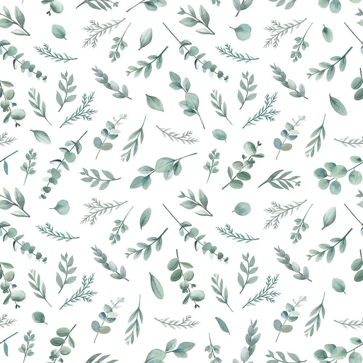 GREENERY - Papier peint eucalyptus en Papier Vert clair 50cm x 10m