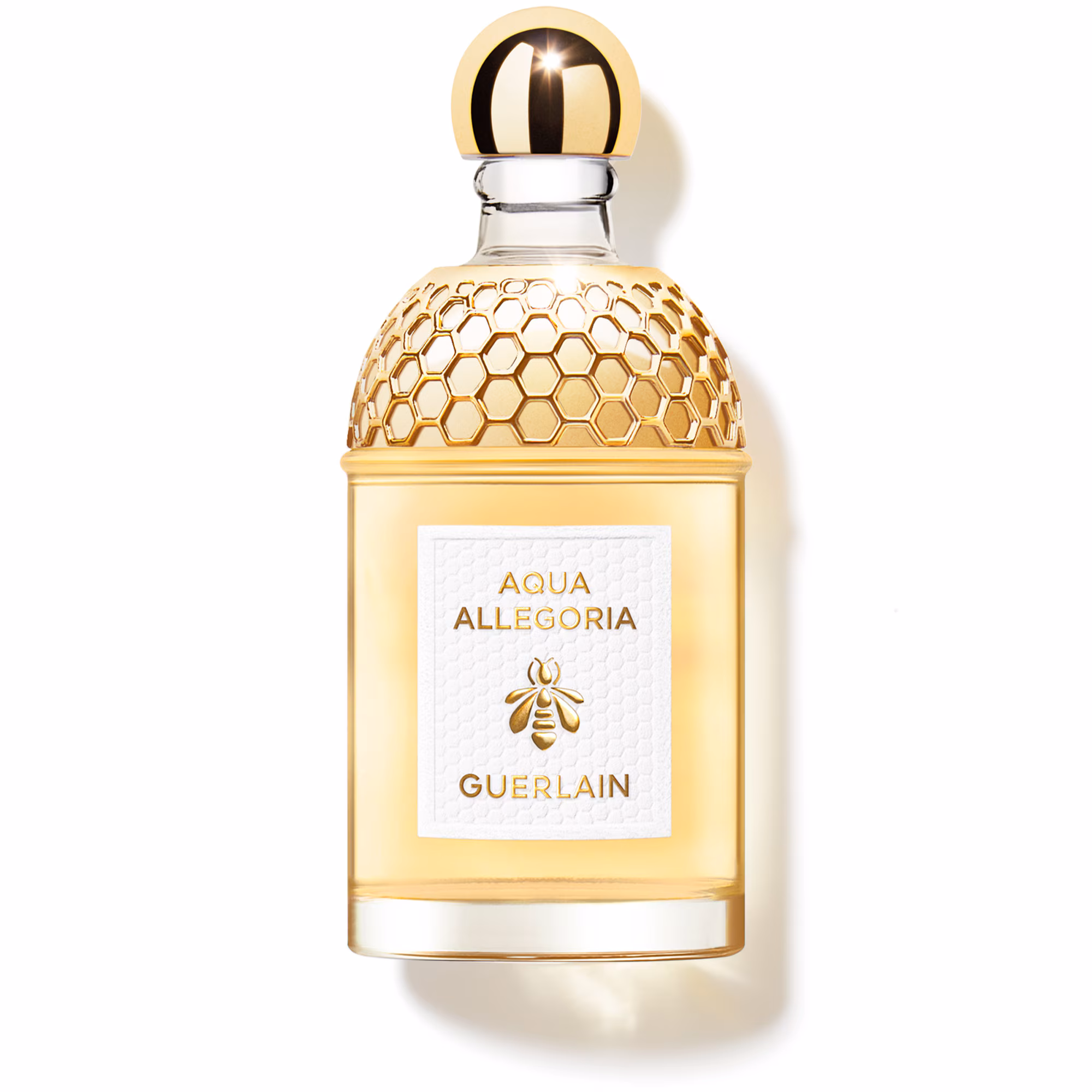 AQUA ALLEGORIAMandarine basilic