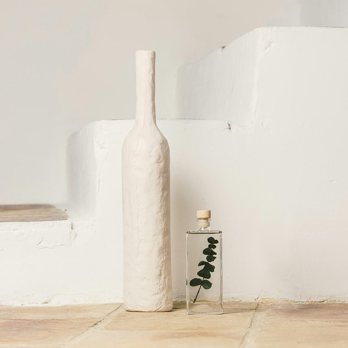 HERBARIUM DE THEOPHILE - Plante immergée Eucalyptus