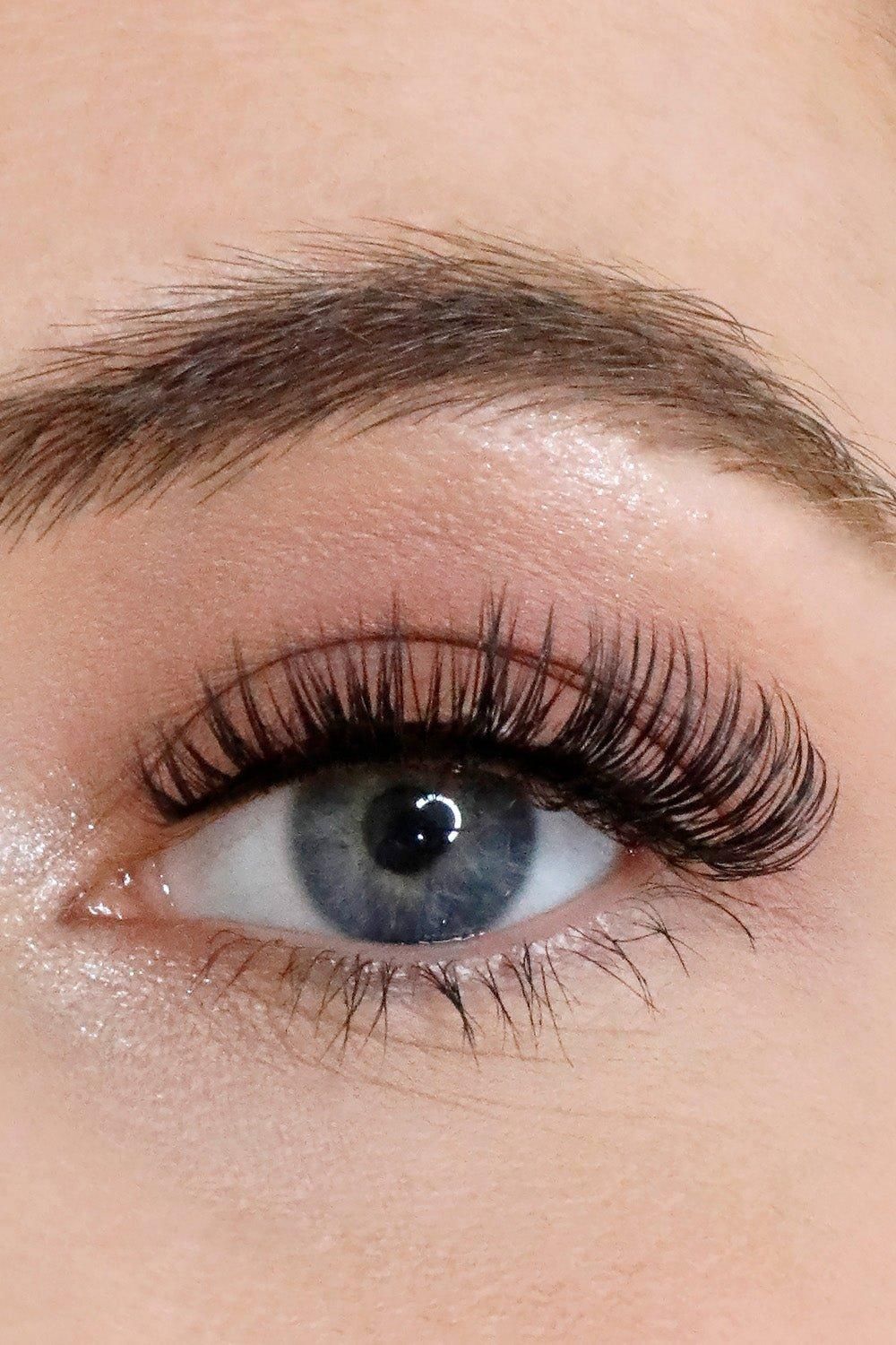 Lola's Lashes Russian "Worth it" Strip Lashes