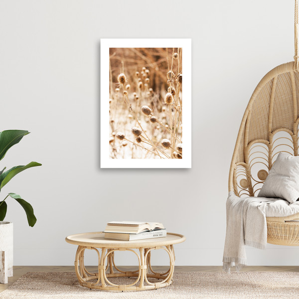 Feeby Obraz na płótnie, Wysuszona łąka 40x60