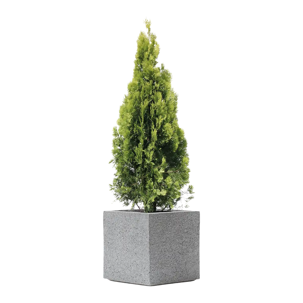 Gartentopf Rockline