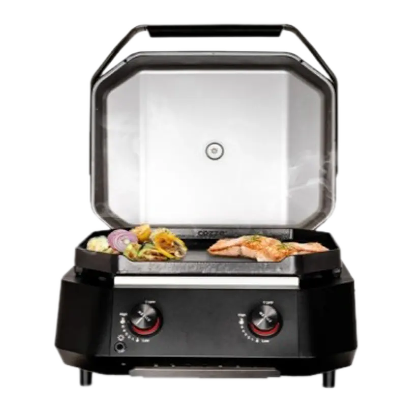 Plancha Serie 500