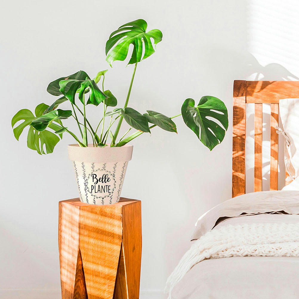 BELLE PLANTE - Cache pot bambou D17cm